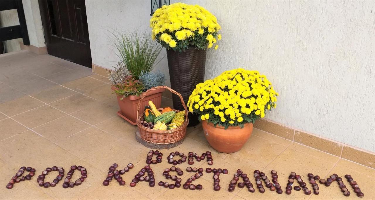 Appartement Dom Pod Kasztanami à Kazimierz Dolny Extérieur photo